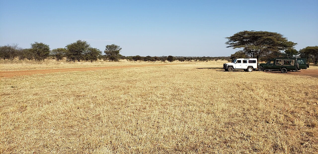 Two safari vehicles parked beside a tree at Lobo Airstrip in Serengeti National Park
