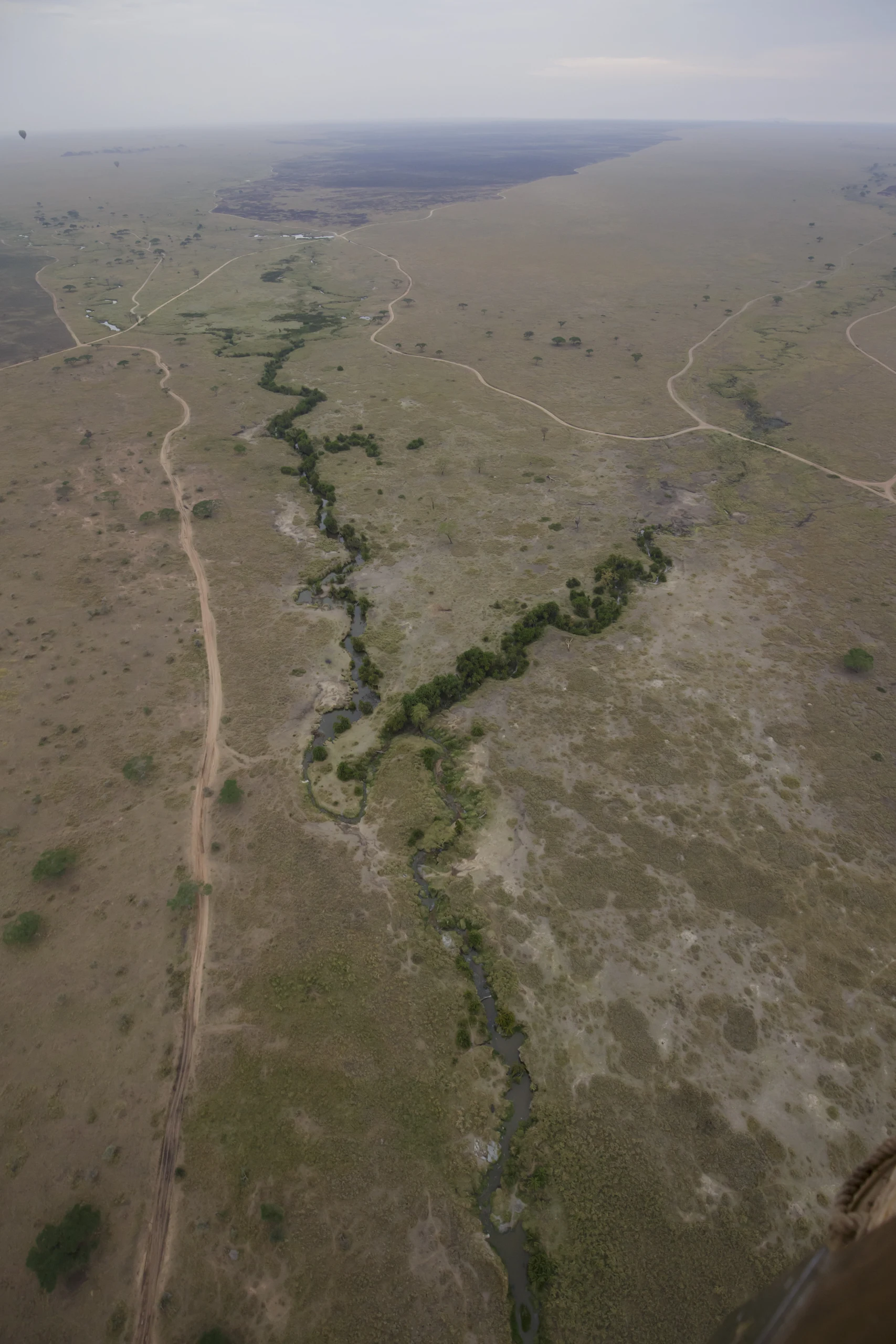 An aerial view of a winding river corridor through the Serengeti landscape
